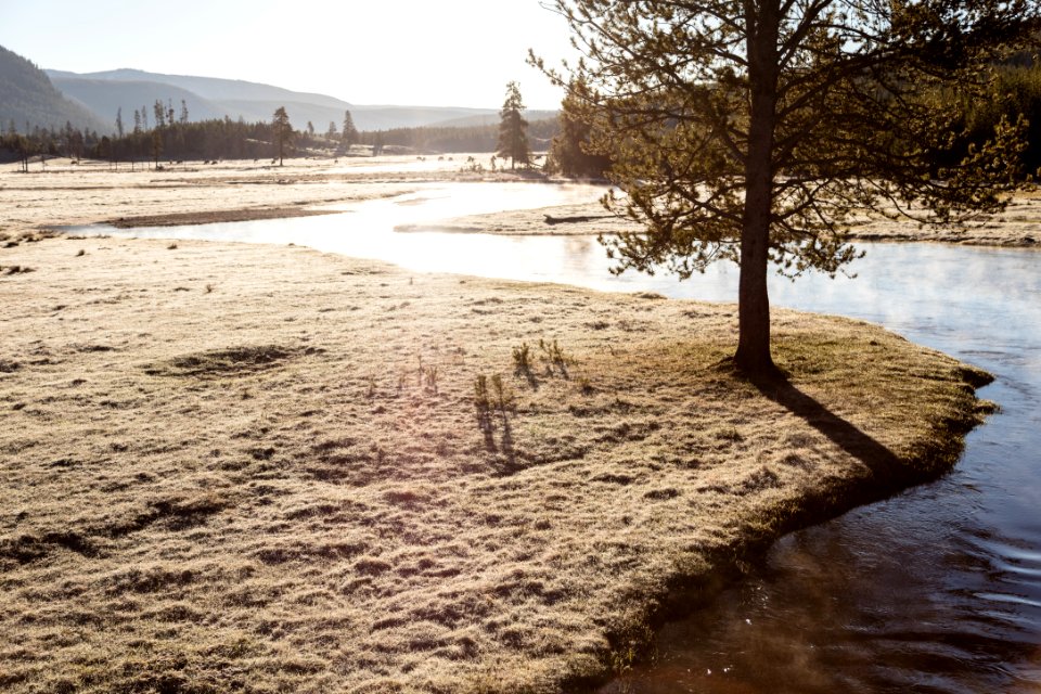 Sunrise over the Gibbon River