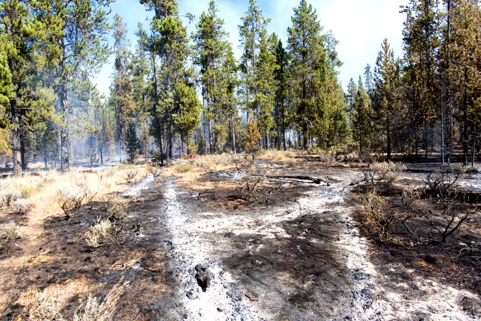 Maple Fire, September 10, 2016