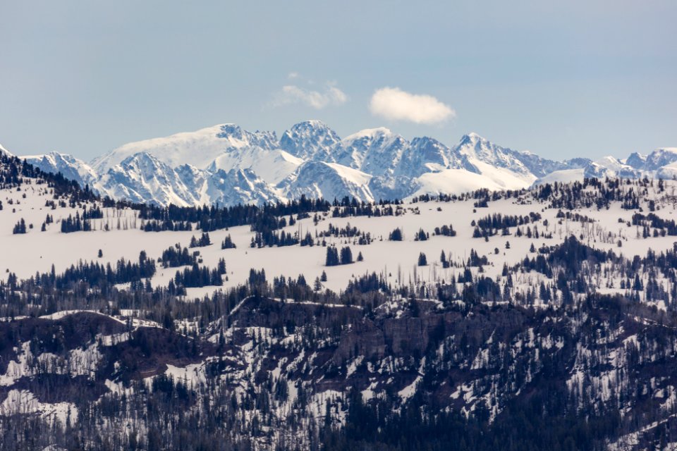 The Beartooth Mountains from Buffalo Plateau Trail