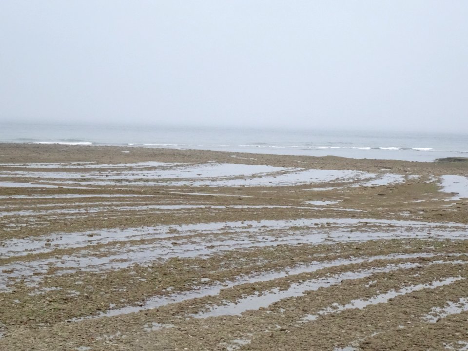 Marée basse à Chassiron
