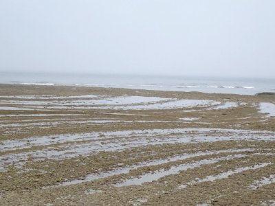 Marée basse à Chassiron