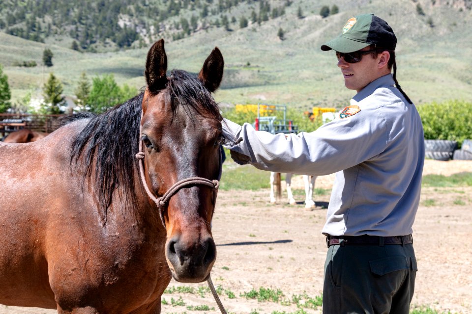 Horse safety training at Stephens Creek Corral (2)