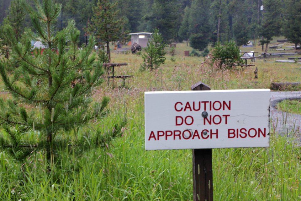 Bridge Bay Campground reminder to use caution