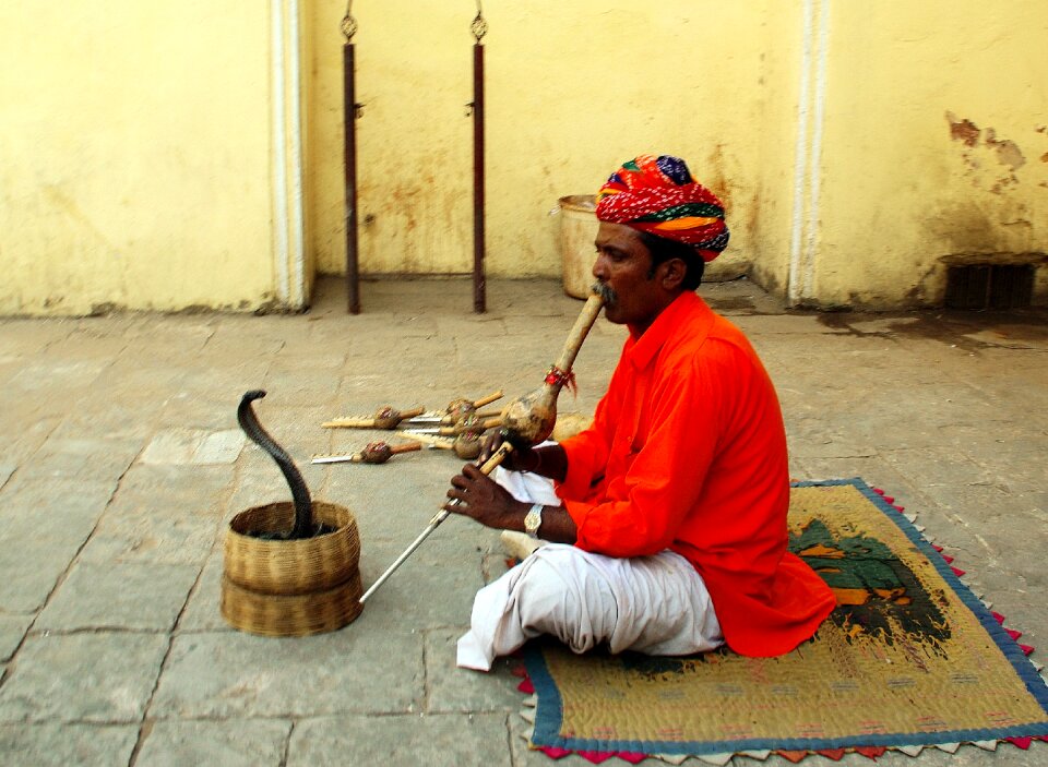 India jaipur snake charmer