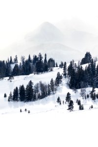 Antler Peak through the storm photo