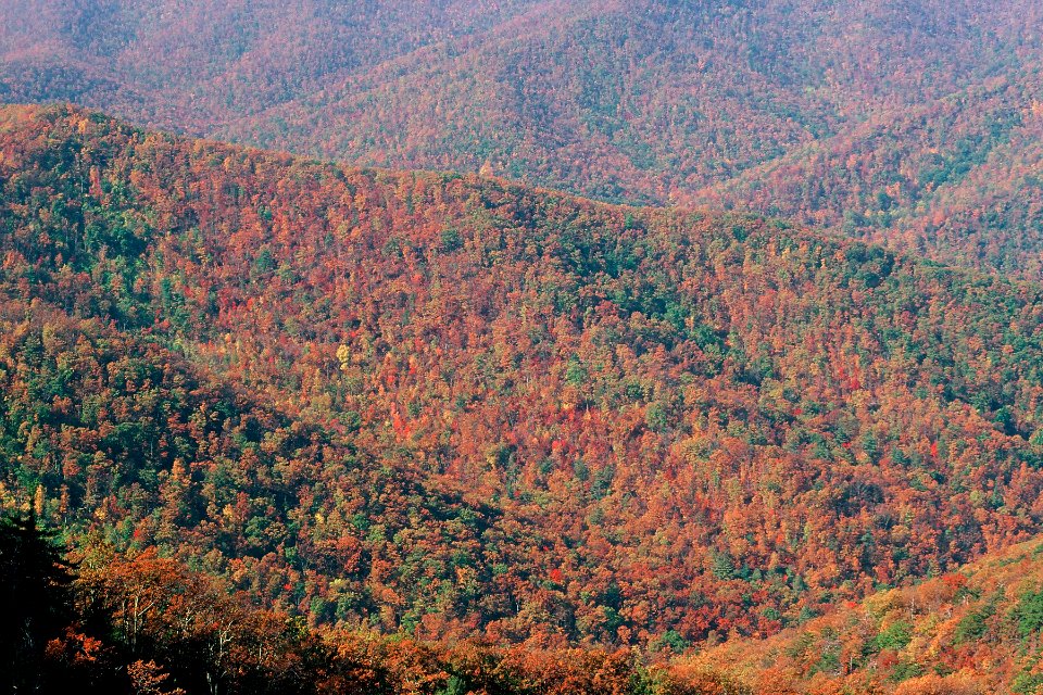 Tray Foot Mtn.