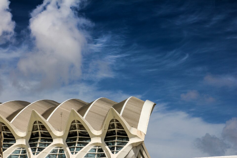 Valencia city of sciences architecture