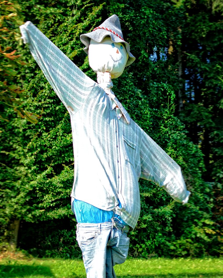 Silhouette human bird control
