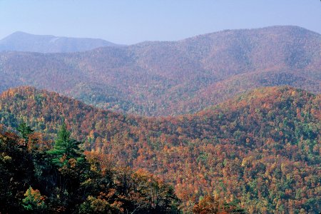 Tray Foot Mtn.