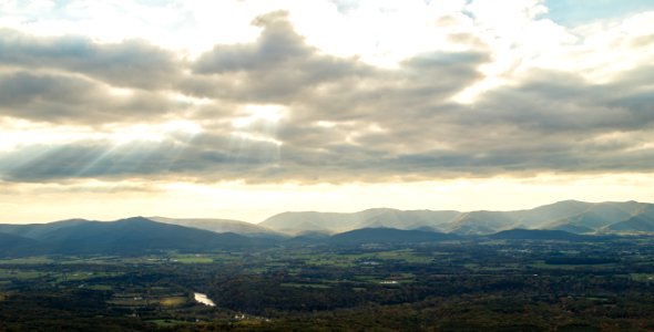 Park in the Distance