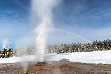 Pink Cone Geyser