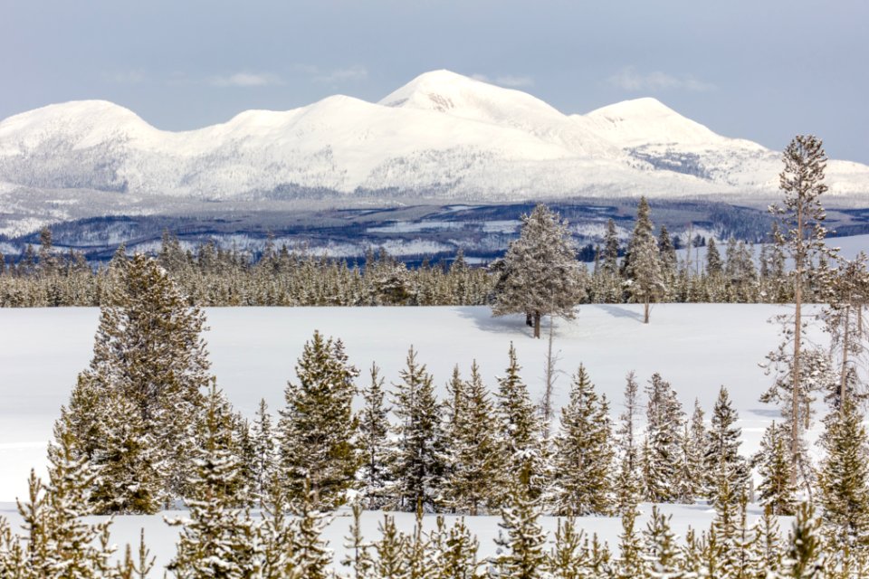 White Peaks and Mount Holmes
