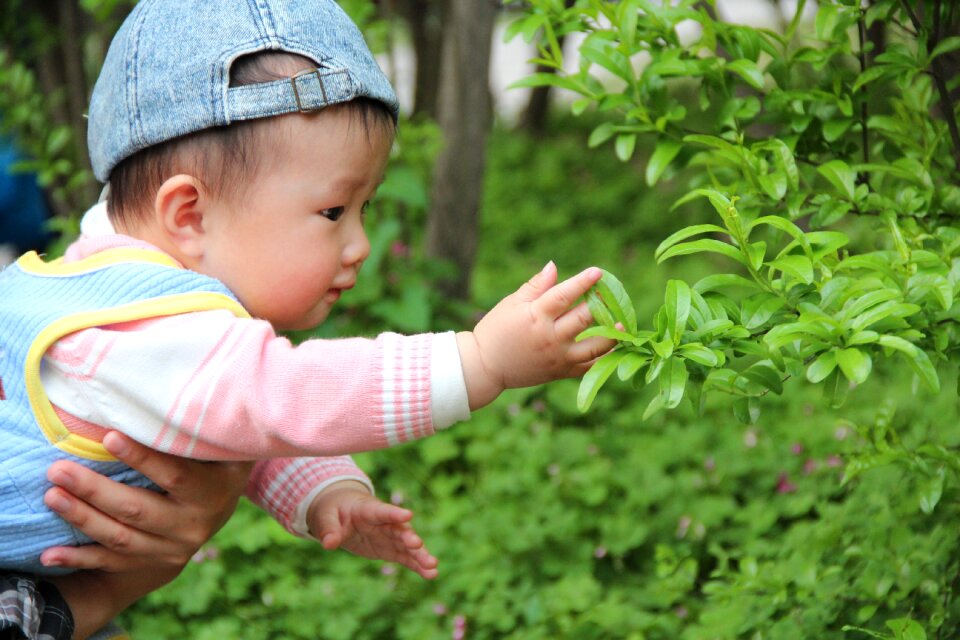 Cute nature innocent