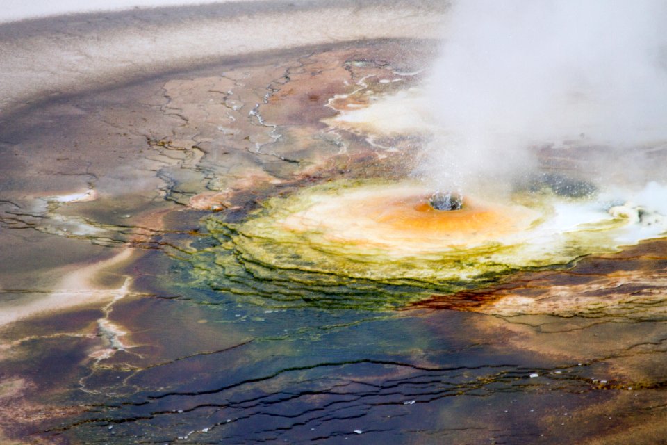 Thermal features in Porcelain Basin at Norris Geyser Basin