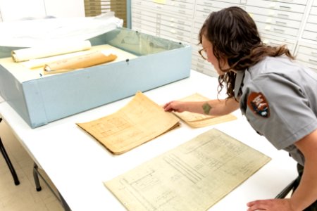 Kimberlee Roberts, Archives Technician, examining a set of drawings in the collection