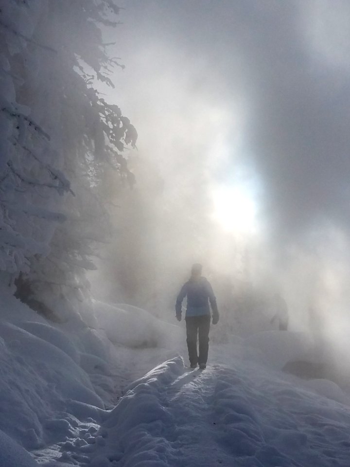 Visitor on boardwalk at Norris Geyser Basin