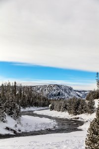 Gibbon River and National Park Mountain Portrait