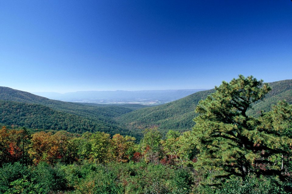 View from Jermey's Run Overlook