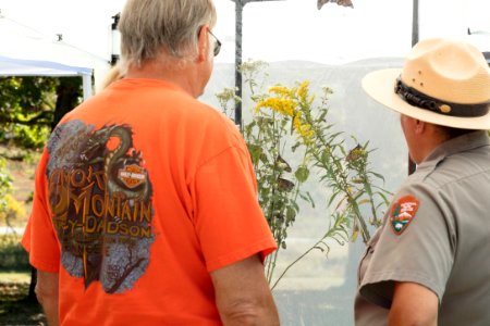 Monarch Butterfly Day 2017