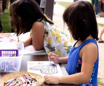 Monarch Butterfly Day 2017