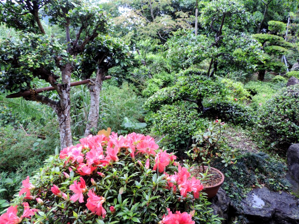 DSCN0014