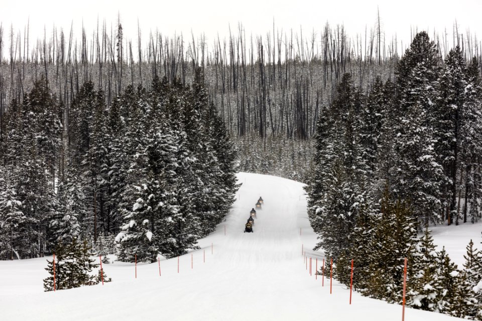Guided snowmobile group arriving at Canyon Village