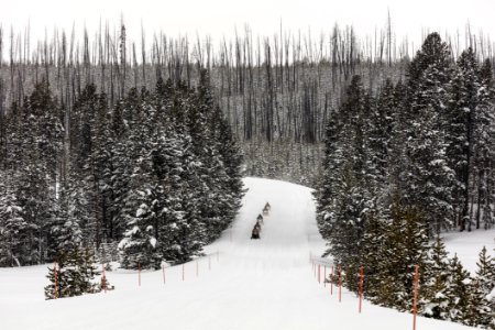 Guided snowmobile group arriving at Canyon Village