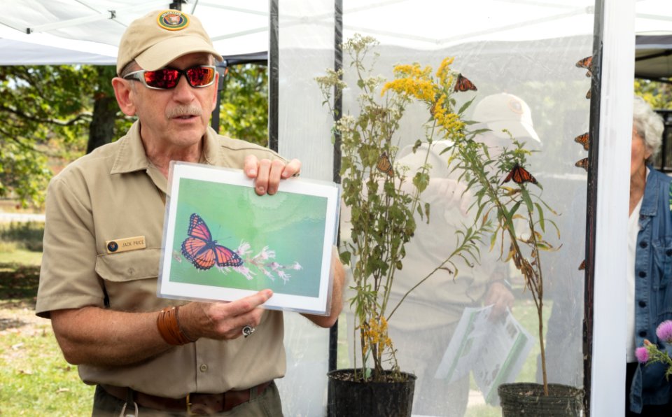 Monarch Butterfly Day 2017