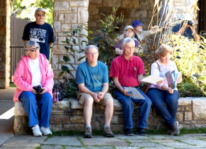 Monarch Butterfly Day 2017