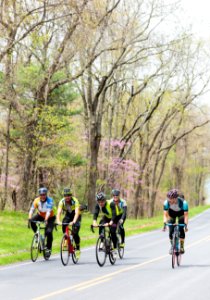 "Ride the Drive" Event