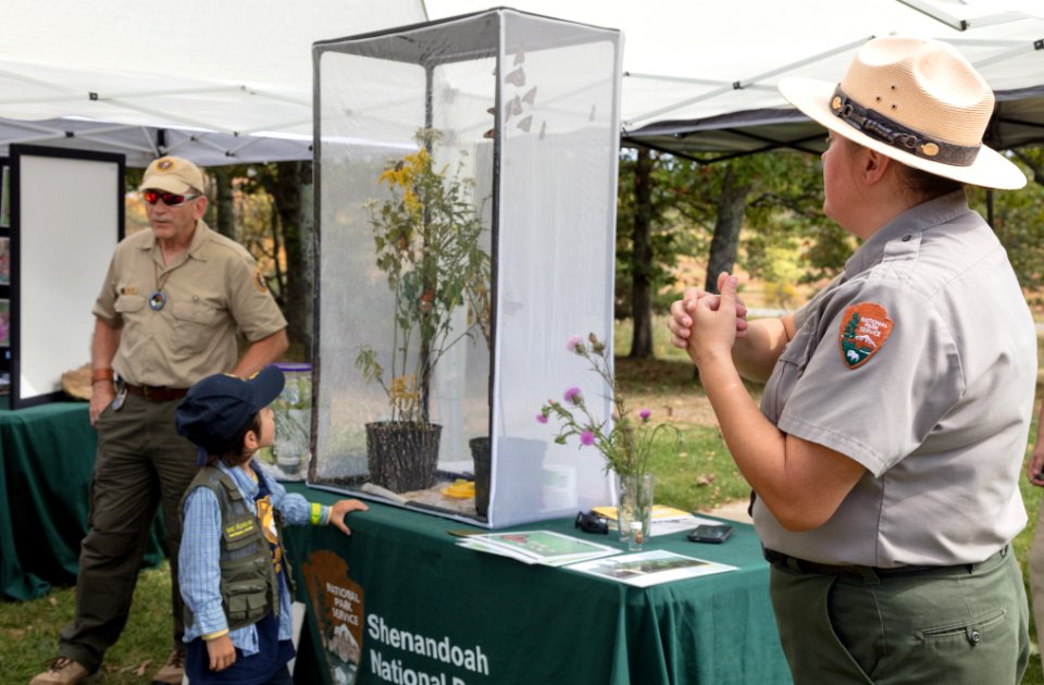 Monarch Butterfly Day 2017