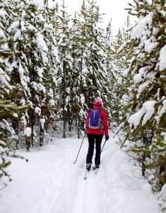 Skier on trail to Fairy Falls photo