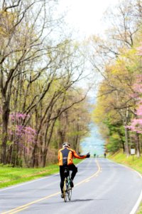 "Ride the Drive" Event