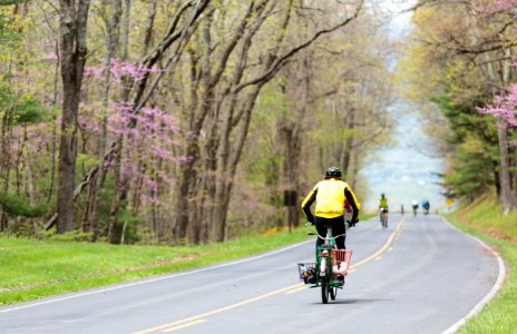 "Ride the Drive" Event