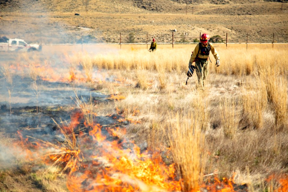Cinnabar Basin prescribed burn project (6)