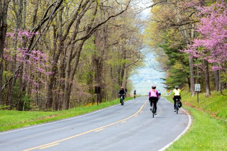 "Ride the Drive" Event