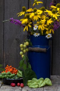 Pot fruit yellow coneflower