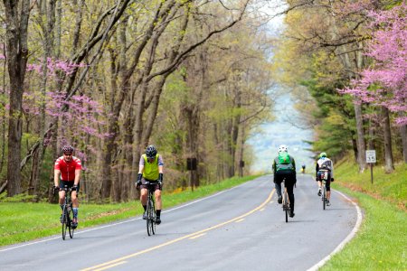 "Ride the Drive" Event