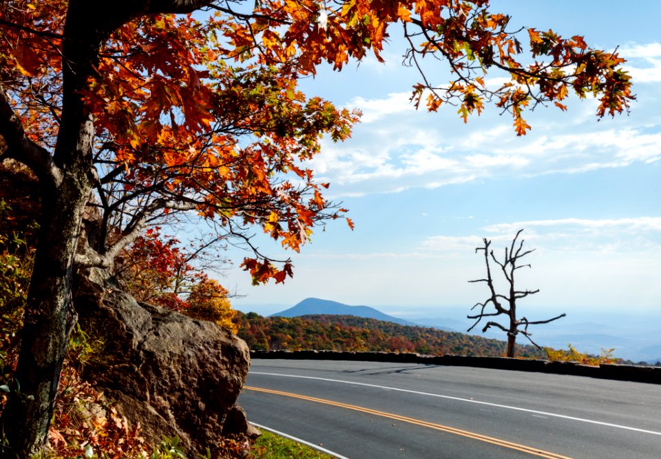 2016 Fall Color: Week of 10/17-10/21