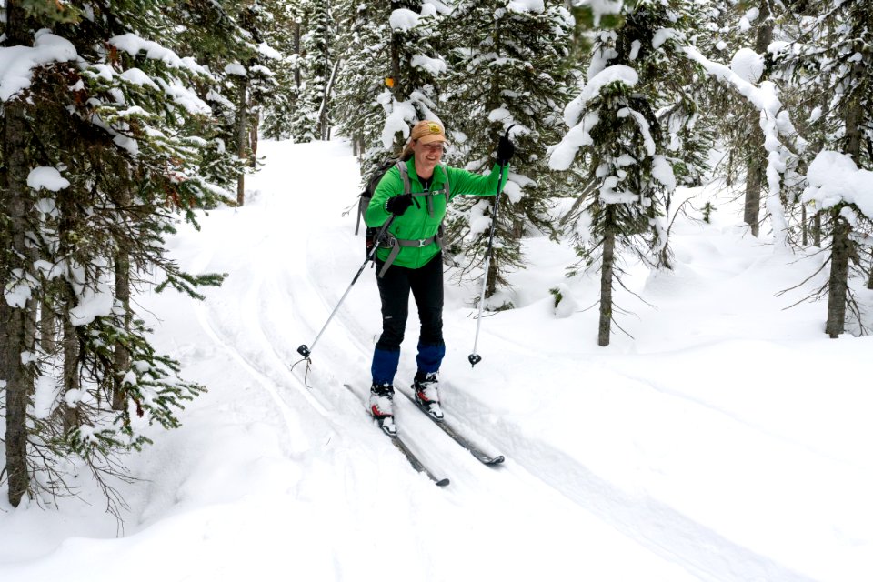 Fresh snow on the Spring Creek Trail photo