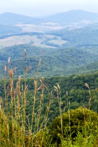 Hogback Vista View