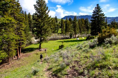 Hiking back to camp along Hellroaring Creek (2)