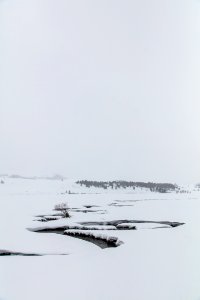 Rose Creek Winter Portrait