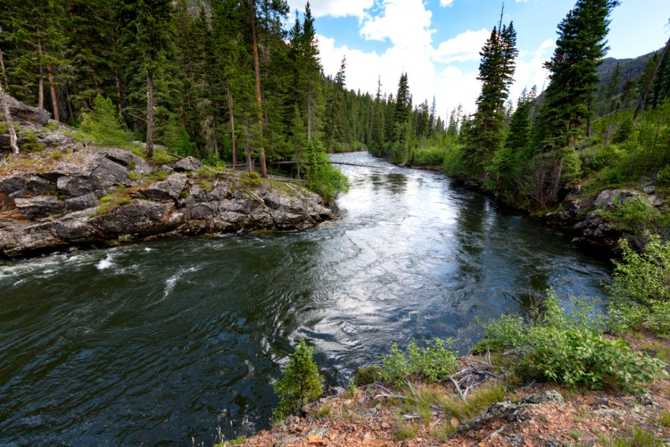 Views of Hellroaring Creek near the Absaroka Beartooth Wilderness boundary
