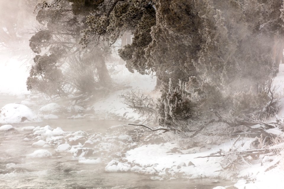 Steam Rising from Gardner River (2) photo