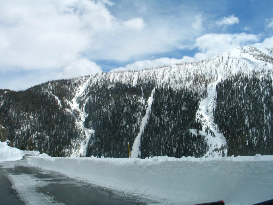 Avalanche chutes looking from Sylvan Pass