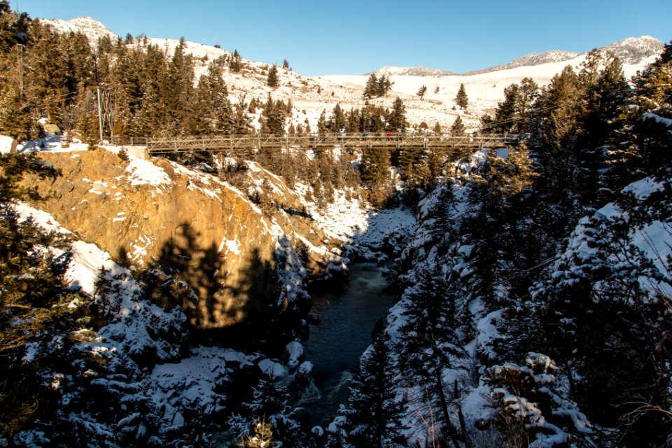 Yellowstone Forever Cougar Course - Snowshoeing at Hellroaring (4)