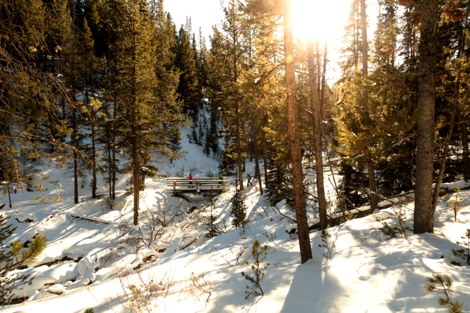 Skiers on Lost Creek bridge