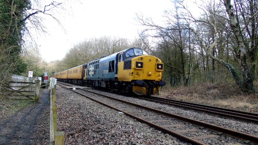 Class 37 025 'InvernessTMD' photo