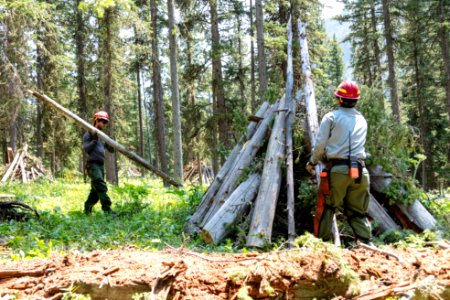 Northeast Entrance fuels project - stacking burn piles (2)